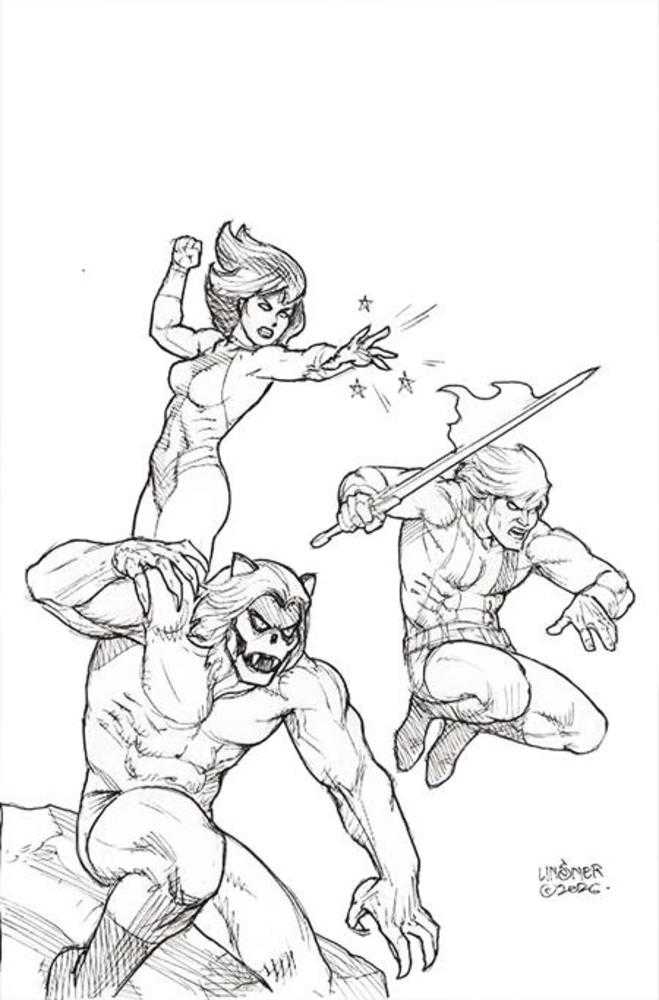 Thundarr The Barbarian #5 Cover M 1 in 10 Joseph Michael Linsner Line Art Full Art Variant