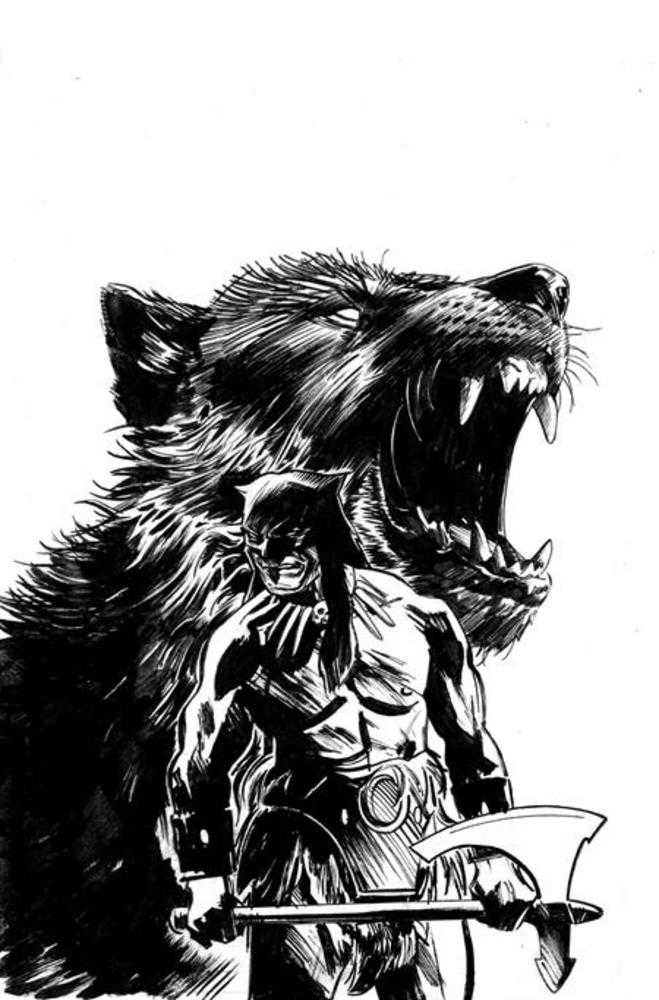 Fire And Ice Darkwolf #3 Cover M Inc 1:5 Fernando Proietti Line Art Full Art Variant