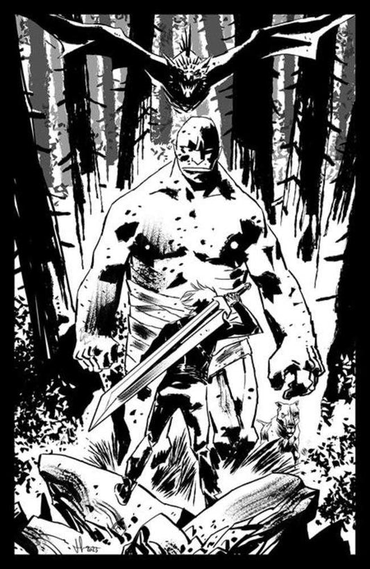 Lost Fantasy #1 Cover C Inc 1:15 Luca Casalanguida Black & White Variant