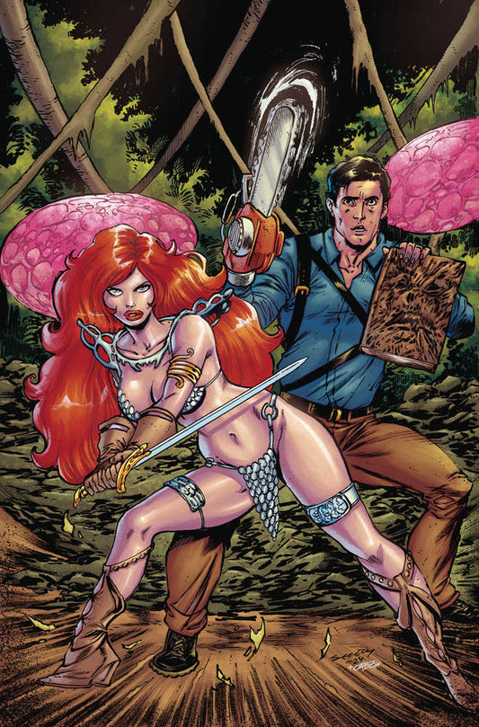 Red Sonja vs Aod #1 Cover Q 30 Copy Variant Edition Seeley Virgin