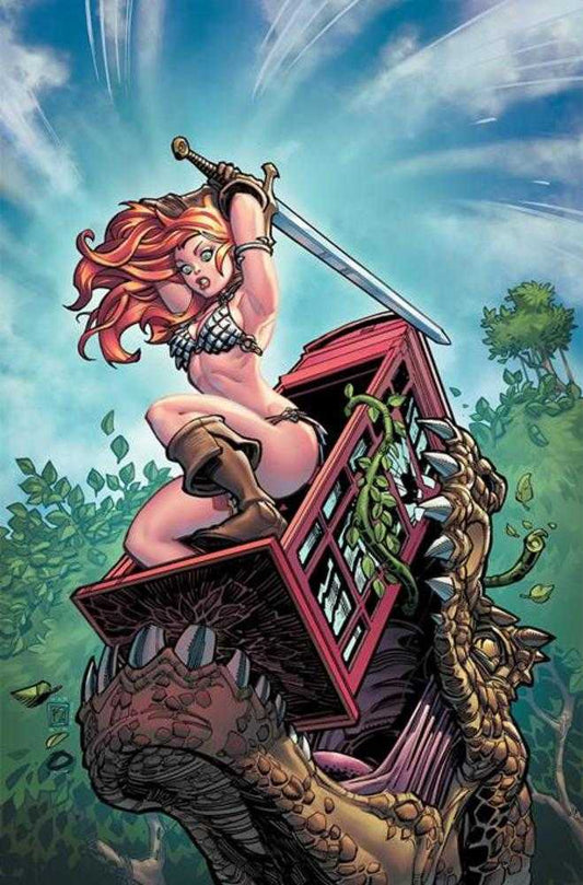 Sonja Reborn #2 Cover L Inc 1:20 Chad Hardin Full Art Variant