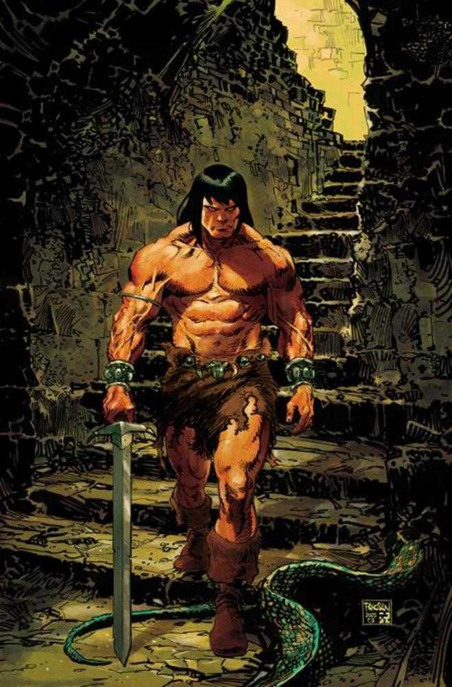 Conan The Barbarian #24 Cover E Dan Panosian Full Art Variant (Mature)