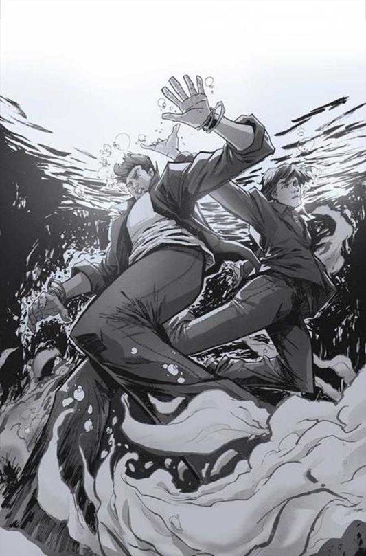 Supernatural #6 Cover H Inc 1:15 David Cousens Art Full Art Variant