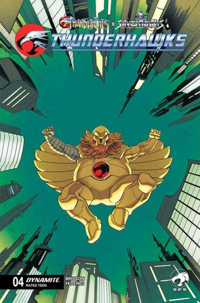 Thundercats X Silverhawks Thunderhawks #4 Cover B Declan Shalvey Variant