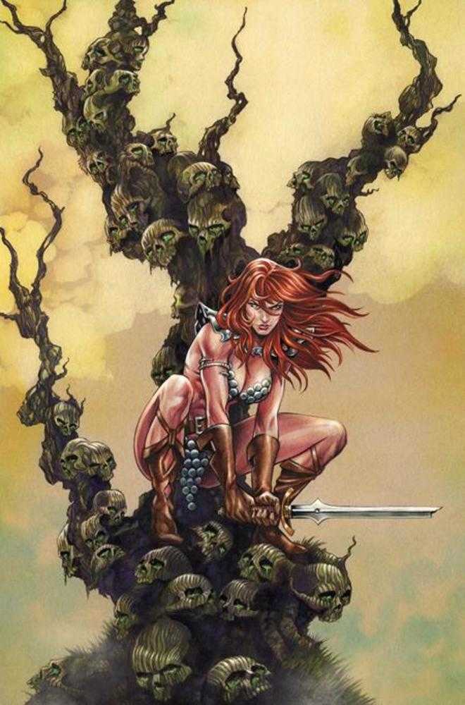 Red Sonja She Devil With A Sword #5 Cover I Inc1:10 Mike Rooth Full Art Variant