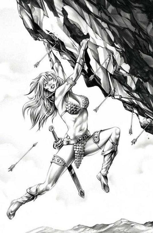 Red Sonja She Devil With A Sword #4 Cover N Inc 1:7 Mike Rooth Black & White Full Art Variant