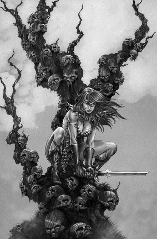Red Sonja She Devil With A Sword #5 Cover M Inc 1:7 Mike Rooth Black & White Full Art Variant