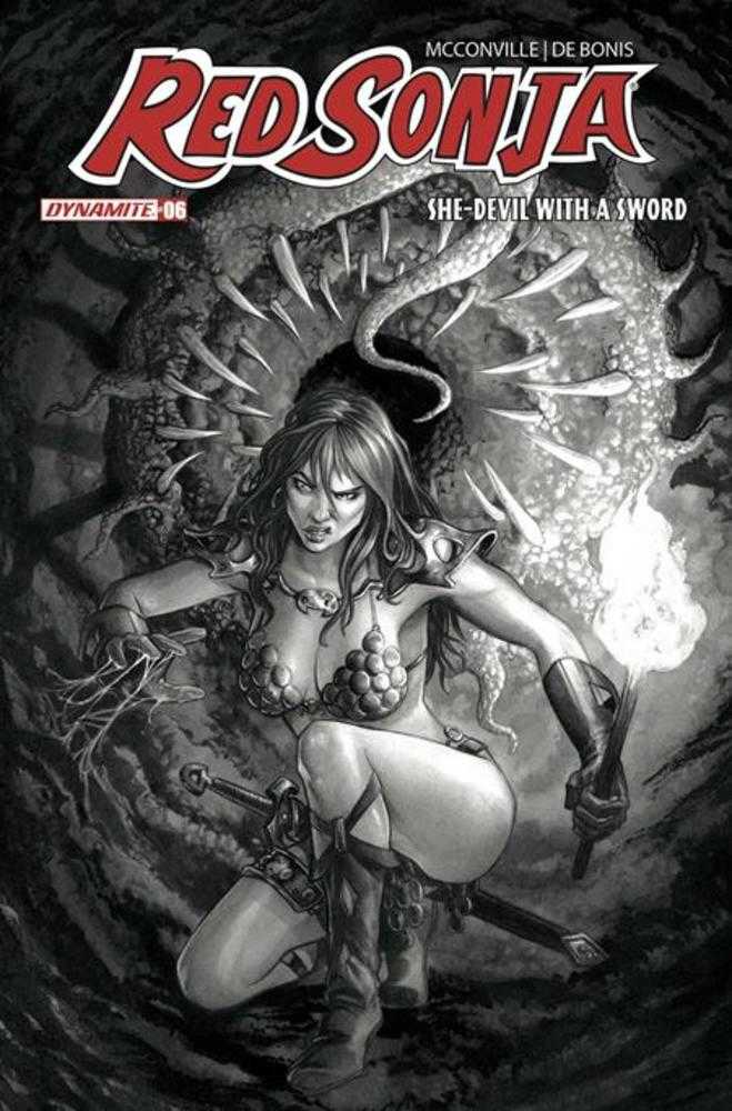 Red Sonja She Devil With A Sword #6 Cover N Inc 1:7 Mike Rooth Black & White Full Art Variant